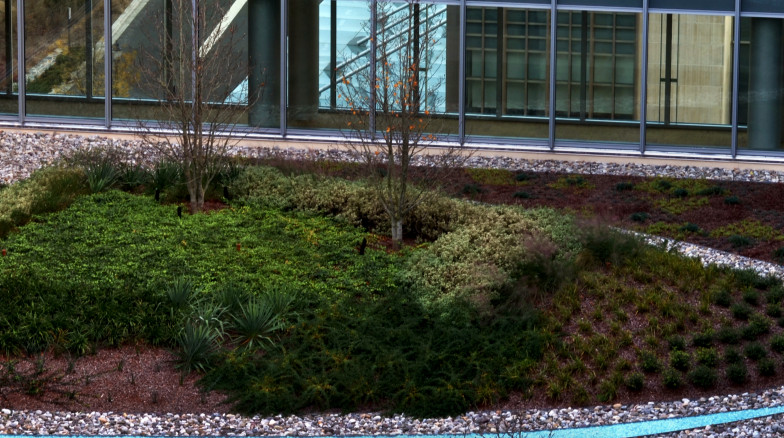 Surface 678 - Duke University Medical Center Pavilion Courtyards