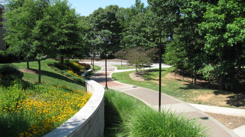 Surface 678 - Campus Green
