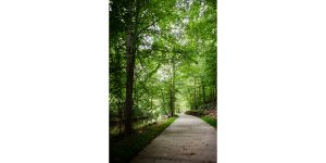 Bolin Creek Greenway Phase III