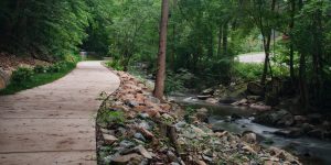 Bolin Creek Greenway Phase III