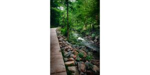 Bolin Creek Greenway Phase III