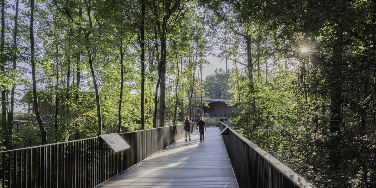 A0480_N119_medium (1)